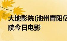 大地影院(池州青阳亿达广场店) 池州大地影院今日电影 