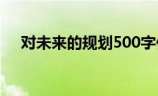 对未来的规划500字作文 对未来的规划 