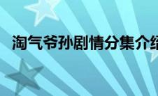 淘气爷孙剧情分集介绍大全 淘气爷孙剧情 