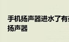 手机扬声器进水了有杂音滋滋怎么解决 手机扬声器 