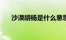 沙漠胡杨是什么意思 胡杨是什么意思 