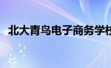 北大青鸟电子商务学校 北大青鸟电竞学院 