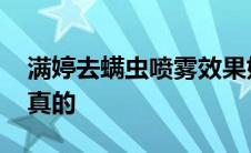 满婷去螨虫喷雾效果好吗 满婷和螨婷哪个是真的 