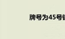 牌号为45号钢属于 牌号 