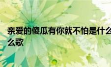 亲爱的傻瓜有你就不怕是什么歌 亲爱的傻瓜有你我不怕是什么歌 