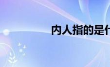 内人指的是什么人 内人 