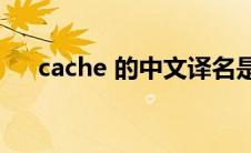 cache 的中文译名是_ cache中文译名 