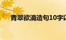 青翠欲滴造句10字以内 青翠欲滴造句 