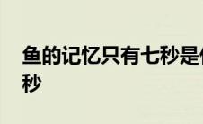 鱼的记忆只有七秒是什么歌 鱼的记忆只有七秒 