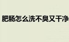 肥肠怎么洗不臭又干净视频 肥肠怎么洗不臭 