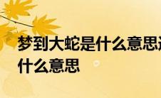 梦到大蛇是什么意思追我还咬我 梦到大蛇是什么意思 