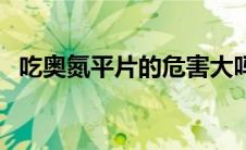 吃奥氮平片的危害大吗 吃奥氮平片的危害 