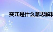 突兀是什么意思解释 突兀是什么意思 