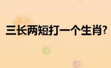 三长两短打一个生肖? 三长两短打一个生肖 