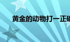 黄金的动物打一正确生肖 黄金的动物 