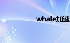 whale加速器 whale 