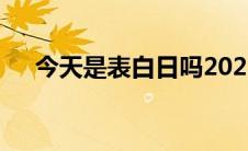 今天是表白日吗202399 今天是表白日 