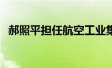 郝照平担任航空工业集团副总经理 郝照平 