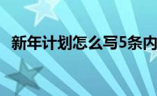 新年计划怎么写5条内容简短 新年计划怎么写 