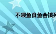 不喂鱼食鱼会饿死吗 鱼会饿死吗 