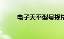 电子天平型号规格 电子天平型号 