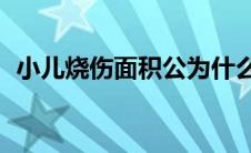 小儿烧伤面积公为什么是12 小儿烧伤面积 