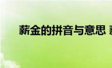 薪金的拼音与意思 薪金的拼音和意思 