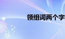 领组词两个字的词 领组词 