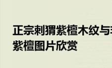 正宗刺猬紫檀木纹与非洲花梨图片 正宗刺猬紫檀图片欣赏 