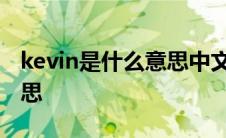 kevin是什么意思中文翻译成 kevin是什么意思 