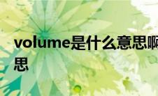 volume是什么意思啊英语 volume是什么意思 