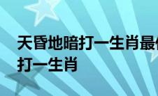 天昏地暗打一生肖最佳答案是什么 天昏地暗打一生肖 