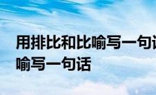 用排比和比喻写一句话20字左右 用排比和比喻写一句话 