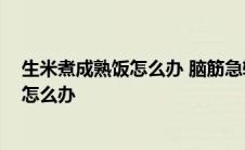 生米煮成熟饭怎么办 脑筋急转弯是什么生肖 生米煮成熟饭怎么办 