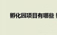 孵化园项目有哪些 孵化园是做什么的 