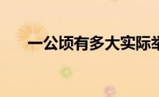 一公顷有多大实际举例 一公顷有多大 