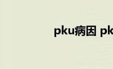 pku病因 pku是什么病 