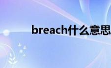 breach什么意思 each什么意思 