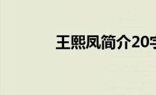 王熙凤简介20字 王熙凤简介 