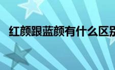 红颜跟蓝颜有什么区别 红颜和蓝颜的区别 