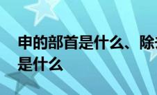 申的部首是什么、除去部首有几画 申的部首是什么 