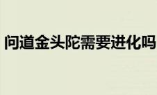 问道金头陀需要进化吗 问道金头陀多少级带 