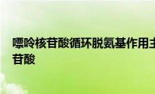 嘌呤核苷酸循环脱氨基作用主要在哪些组织中进行? 嘌呤核苷酸 