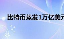 比特币蒸发1万亿美元 比特币蒸发1万亿 