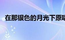 在那银色的月光下原唱 在那银色的月光下 