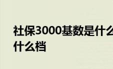 社保3000基数是什么意思 社保3000基数是什么档 