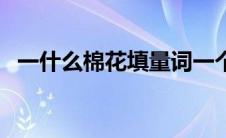 一什么棉花填量词一个二年级 一什么棉花 