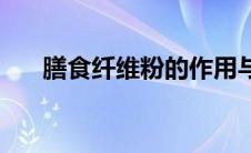 膳食纤维粉的作用与功效 膳食纤维粉 