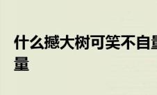 什么撼大树可笑不自量? 什么撼大树可笑不自量 