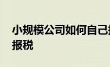 小规模公司如何自己报税 小规模零申报怎么报税 